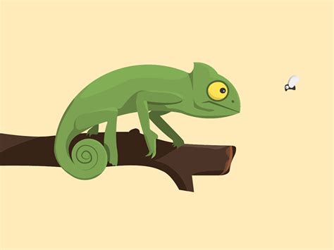 Hesitant Chameleon By Robert Pasdziernik On Dribbble