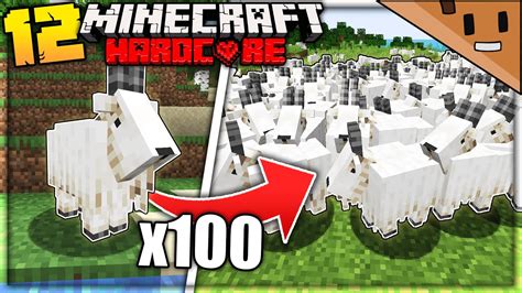 I Found 100 Goats In Minecraft Hardcore 12 Youtube