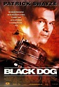 Black Dog - Película 1998 - SensaCine.com