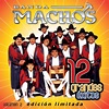Banda Machos: 12 Grandes Exitos, Vol. 2” álbum de Banda Machos en Apple ...