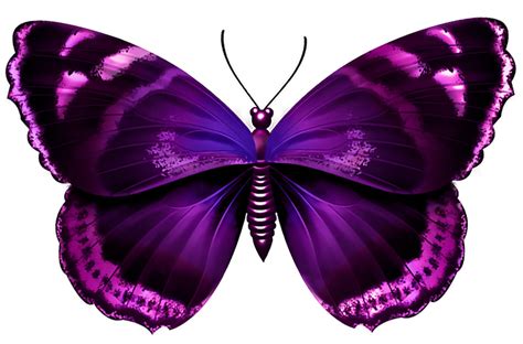 Purple Butterfly Transparent Png Image Purple Butterfly Tattoo