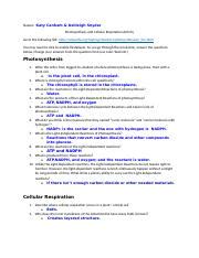 This page is about mouse genetics gizmo,contains mouse. Ashleigh Snyder Mouse Genetics (Two Traits).docx - Mouse ...
