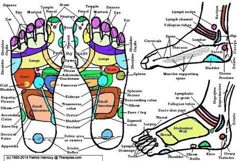 Reflexology Benefits Reflexology Foot Chart Body Healing Thoracic Foot Massage Qigong Mind