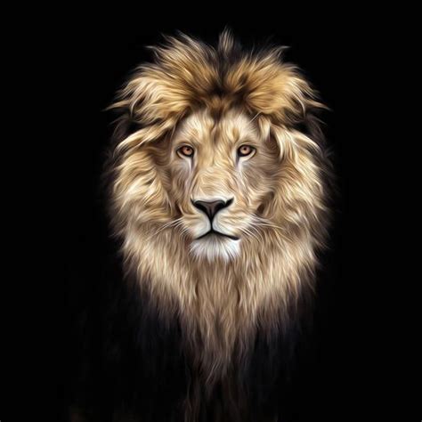 Best Lion Stock Photos Pictures And Royalty Free Images Istock Fotos
