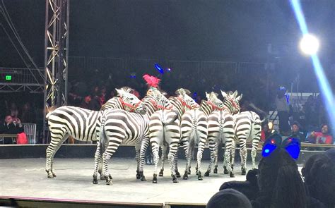 Universoul Circus One To Nothin