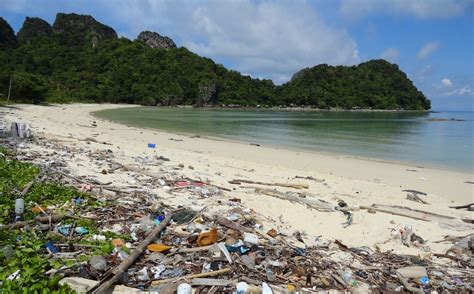 Ecosystems Plastic Waste Spoils Galapagos Islands Boomers Daily