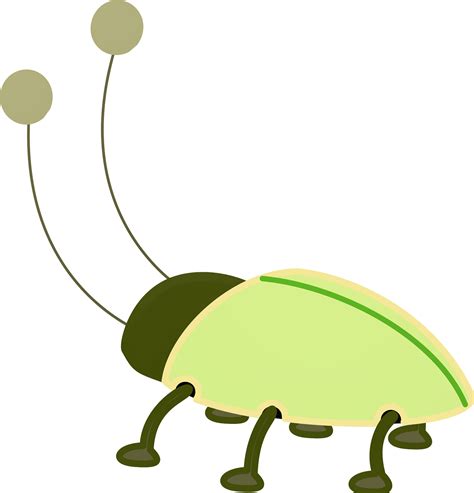 Bug Clipart Insect