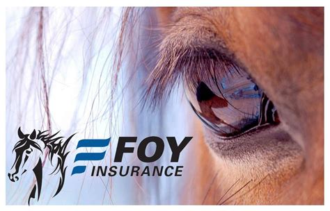 At equidae, we understand that the ownership of one horse or many represents a significant financial investment worth protecting. Equine Insurance in NH, MA & ME - Foy Insurance