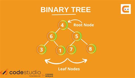 Binary Tree Coding Ninjas