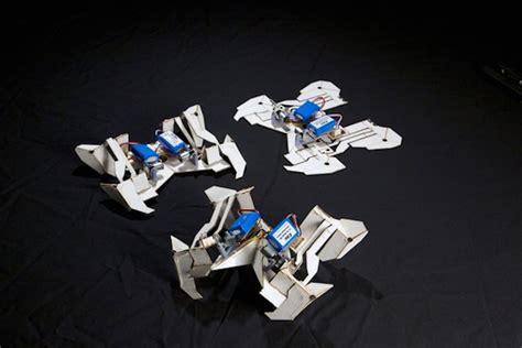 Self Folding Robot Based On Origami News Archinect