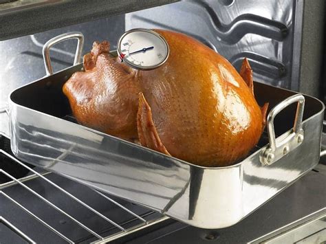 Where To Put Meat Thermometer In Turkey Grill Baby Grill