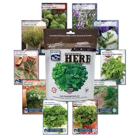Culinary Herb Seed Collection 10 Variety 100 Non Gmo Heirloom Basil