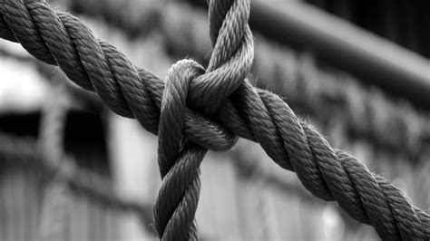 1236213 Hd Rope Knot Close Up Black And White Rare Gallery Hd Wallpapers