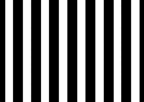 Black And White Striped Wallpaper