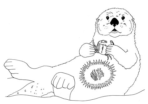 Otter Sea Drawing Otters Coloring Pages Tattoo Cute Clipart Easy