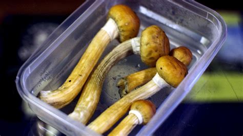 Magic Mushrooms show promise as depression therapy