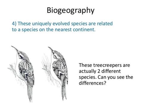 02 Evidence Of Evolution Biogeography