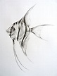 Angel Fish Drawing in Pencil by Lucy Beevor by CaughtByTheLight | Fish ...