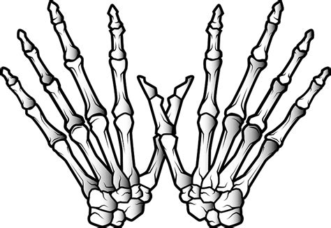 Skeleton Hands Png Png Image Collection