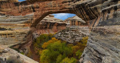 10 Things You Will See At Natural Bridges National Monument