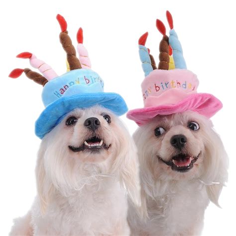 Pets Birthday Cap Hat Birthday Candles Headband Pet Kids Headdress