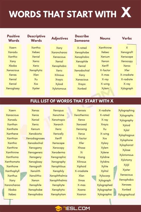 Words That Start With X 300 X Words Words Starting With X • 7esl