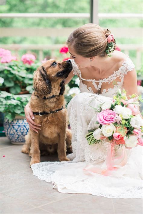 50 Too Cute Ways To Include Your Pet In Your Wedding Wedding Pets