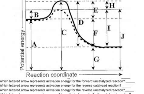 Solved H Cb D C F A Potential Energy G Reaction Coordinate Which