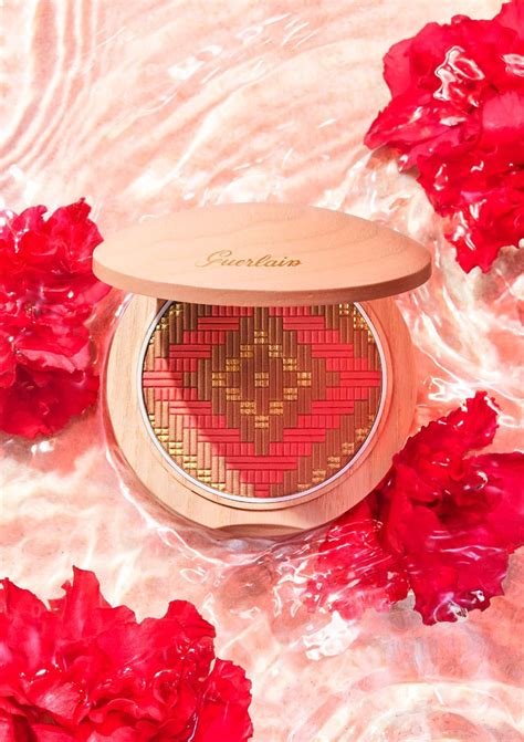 The patina is actually mineral terracottas porous nature allows for air and water to move through the walls, preventing soil disease and root rot. Los nuevos polvos bronceadores Terracotta de Guerlain nos ...