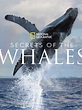 Secrets Of The Whales - Serie 2021 - SensaCine.com.mx