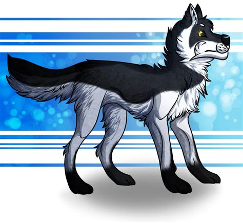 Collab Grey Wolf By Kryoxity On Deviantart