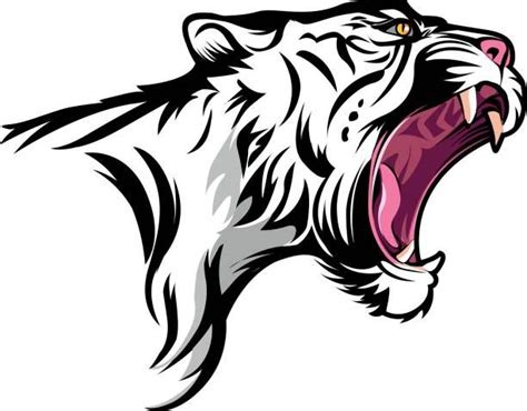 Vector Illustration Tiger Fierce With Open Mouth Tiger Vector