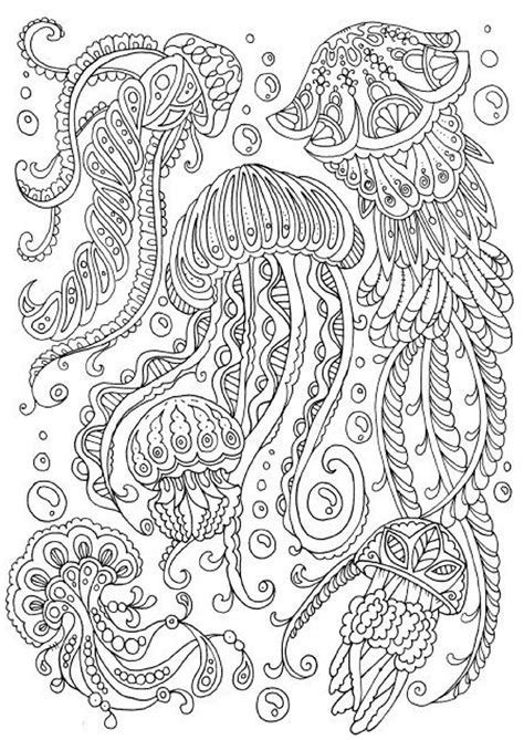 Jellyfish Coloring Pages 101 Coloring