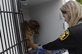 On the road with Santa Barbara County Animal Services: Officer deals ...