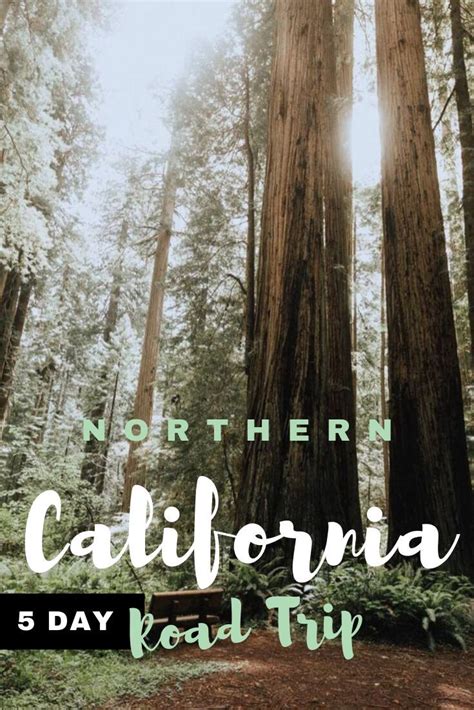Northern California Road Trip Driving Itinerary For The Northern