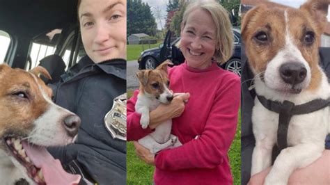 Every dog has special traits. Ohio officer drives to Virginia to reunite long-lost dog ...