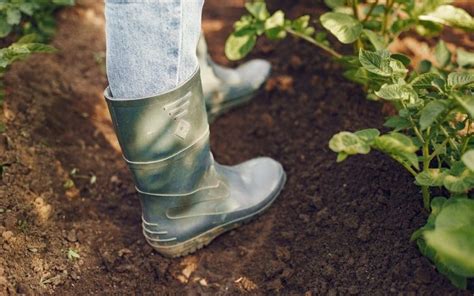 The 11 Best Gardening Shoes In 2023 Shelf
