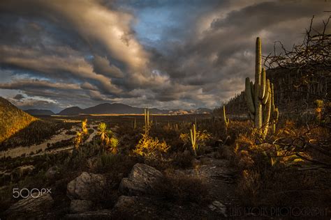 Sunny Afternoon At The Mixteca Poblana By Luis Lyons 500px