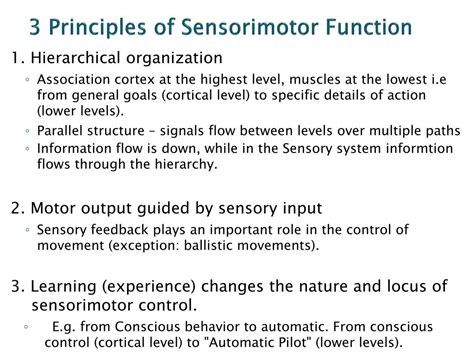 Ppt Topic 6 The Sensorimotor System Powerpoint Presentation Free