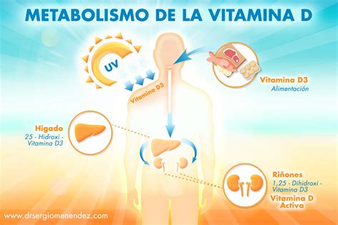 Vitamina D Doctor Sergio Menendez