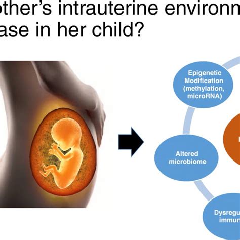 exposures during pregnancy and early life including maternal glucose download scientific