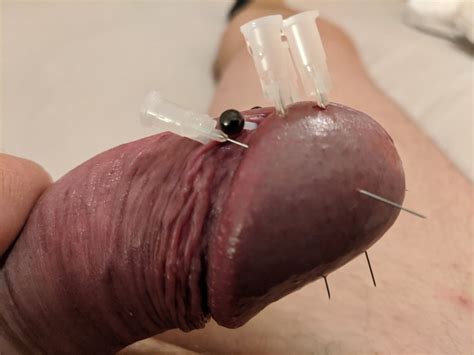 Cock Head Piercing Needle Fetish Cbt Pics Xhamster