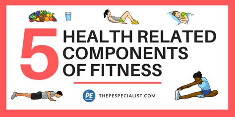 5 Health Related Fitness Components Hubpages