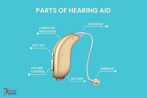 Parts And Accessories Of Hearing Aids The Hearing Solution Group