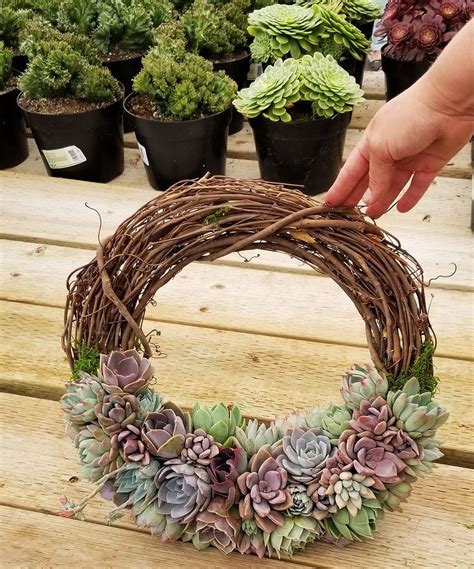 We are a family run nursery growing plants in sunny southern california. Fresh #plantspiration courtesy of this succulent wreath ...