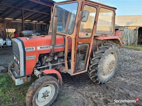 Ci Gnik Rolniczy Ursus Massey Ferguson Mf Koz Wka Sprzedajemy Pl