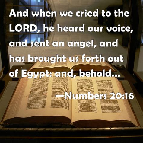 Numbers 2016 And When We Cried To The Lord He Heard Our Voice And