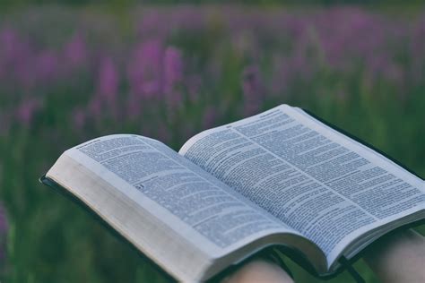 Right from the Heart | Daily Devotion from Joyce Meyer