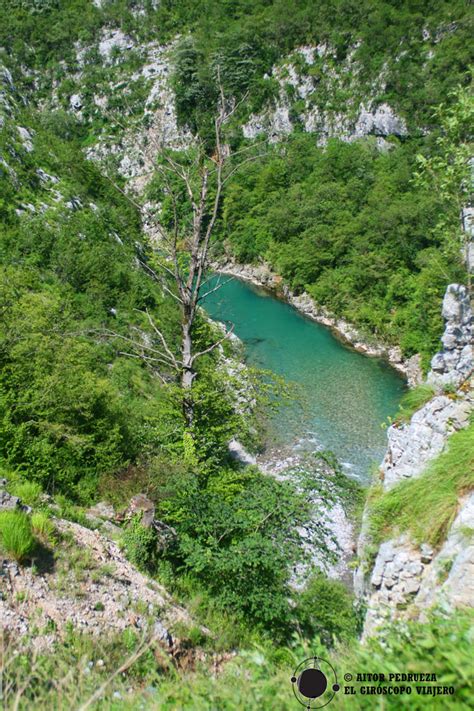 Mda 1 primaria 2020 me divierto y aprendo: Naturaleza de Montenegro - Guía de Turismo de Montenegro