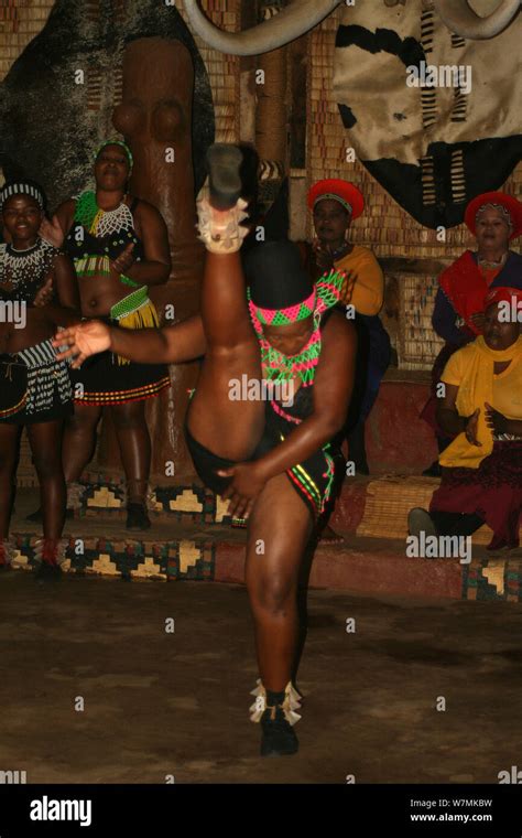 traditional zulu dancing at shakaland zulu cultural village eshowe kwazulu natal south africa